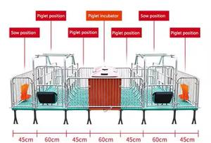 Equipo económico de cría de animales Nueva cama de gestación de cerdas con placa Placa de fugas Garantía de 1 año para cría de cerdos - Product Image 3