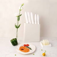 Ensemble de couteaux de chef de cuisine 5 pièces avec manche ergonomique et lame en acier inoxydable 3Cr13