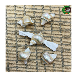 Anillos para Servilletas de Conchas Marinas Hechos a Mano con Conchas Naturales, Decoración de Mesa para Bodas, Eventos, Decoración Costera y Rústica - Product Image 1