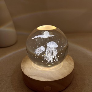 Lampe de nuit en forme de méduse écologique personnalisée, lumière lunaire, décoration de chambre mignonne, globe en verre, lampe de bureau avec température de couleur réglable - Product Image 1