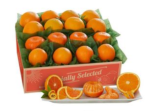 Caja de Regalo de Naranjas Navel de Gannan de Temporada al por Mayor, 5 Tipos de Cítricos Frescos, Brocado CVC, Incluye Naranjas Mandarinas - Product Image 4
