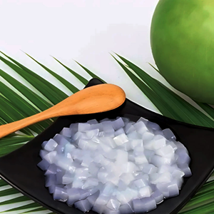 ฉลากสะอาด Nata de COCO พร้อมใช้สำหรับอุตสาหกรรมอาหาร - Product Image 2
