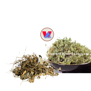 VENTE EN GROS OMIENNE SÉCHÉE/FEUILLES DE CENTELLA ASIATICA DE HAUTE QUALITÉ AU MEILLEUR PRIX DU FOURNISSEUR AU VIETNAM - Product Image 1