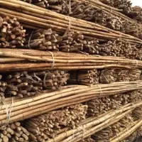 ก้านหวายราคาไม่แพงในยุโรปจำหน่ายแบบแท่งวัตถุดิบขนาด5-45มม. - Product Image 4