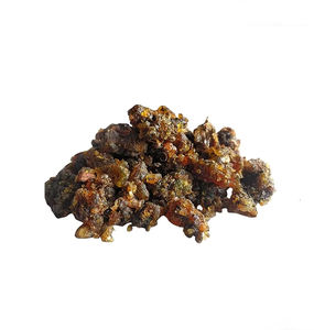 Resina de Guggul en Polvo de Commiphora Mukul Pura y Natural, Material Botánico Finamente Molido para Preparaciones Herbales Tradicionales - Product Image 2