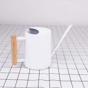 Arrosoir en métal solide pour l'extérieur, idéal pour les amateurs de plantes, offrant une construction durable, un fonctionnement stable et une poignée confortable. - Product Image 4