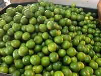 Citron vert sans pépins du Vietnam, frais, juteux, mûr, de haute qualité, qualité export, taille 6 cm, durée de conservation de 12 mois