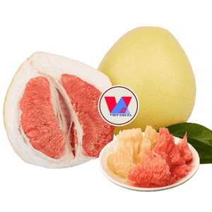 LOS PRODUCTOS DE FRUTAS MÁS POPULARES POMELO CONTIENE MUCHOS NUTRICIONANTES, APOYA LA MEJORA DE LA SALUD, ALTA CALIDAD A PRECIO BARATO - Product Image 1