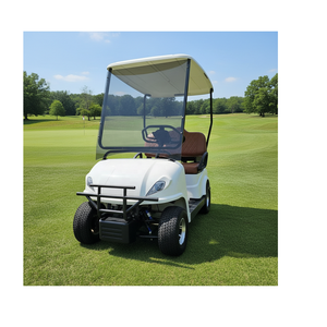 Carrito de Golf de Gran Valor, 2 y 4 Plazas, Precio Especial - Product Image 2