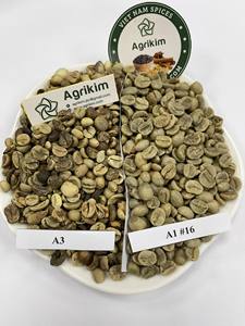 โรบัสต้าเมล็ดกาแฟ60กก. ถุงปอกระเจา G1 S16กาแฟดิบเมล็ดกาแฟสีเขียวขัดเงาแบบเปียกแพ็กเกจแบบกำหนดเองตัวอย่างฟรี - Product Image 4