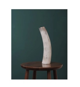 Jarrón artesanal de cuerno de búfalo de agua: decoración natural ecológica única para flores secas y detalles elegantes para el hogar - Product Image 4