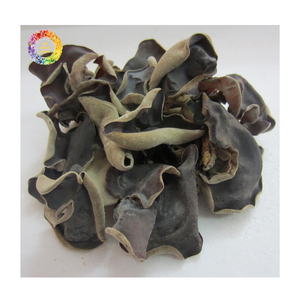 Hongo negro seco de alta calidad, venta a granel de seta seca comestible seta de oreja de madera para exportación y uso al por mayor - Product Image 1