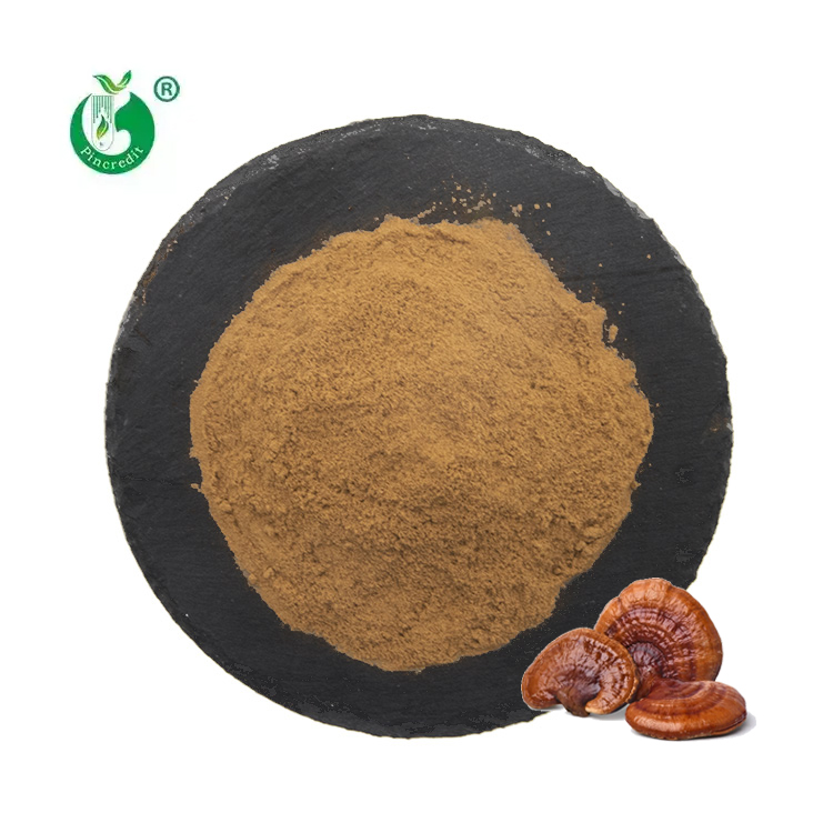 Прямая Продажа с фабрики, порошок Ganoderma Lucidum, органический экстракт грибов рейши