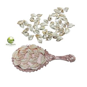 Conchas Marinas Naturales Cortadas a Granel, Rebanadas Decorativas de Conchas Marinas para Rellenos de Resina, Proyectos de Arte, Decoración de Bodas y Eventos - Product Image 4