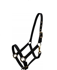 Licol de cheval en nylon personnalisé réglable Durable confortable Licol fort Halter d'entraînement Fabricant professionnel de tack de cheval - Product Image 3