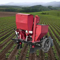 Prix de la machine automatique de semence de patate douce gingembre ail en vente