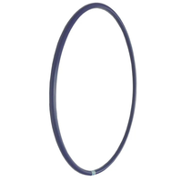 Sports et divertissement Fitness Dance Hoop pour l'exercice et le plaisir