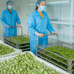 Natural IQF Frozen Dracontomelon Fruit Auténtica fruta agria vietnamita para bebidas y industria culinaria - Product Image 6