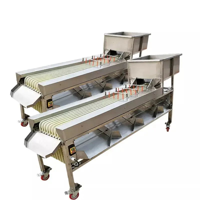 Frozen Vegetable Washing Processing Machine Fruit Vegetable Sorting Machine Tomato Grading Sorter Machine