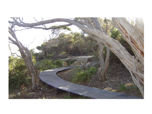 Plaque composite en micro-maille de FRP de type grille pour passerelle au sol, anti-corrosion, prix d'usine, haute résistance, fournisseur vietnamien - Product Image 6