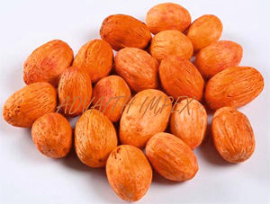 Dried Amra <b>Pod</b> Vass Fillers Decorative Plants Potpourri for Home or <b>Office</b> Elegant Floral Design for Indoor Use - Product Image 3