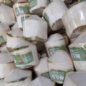 Top vente en 2022 Sweet Fresh Coco Vendeur entier de noix de coco fraîche au Vietnam - Product Image 5
