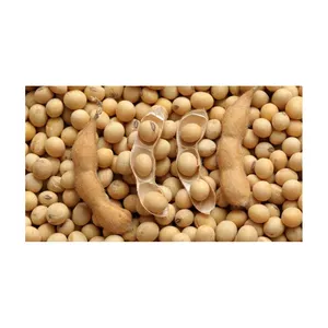 Harga grosir diskon besar GMO crop baru dan Non GMO Soyabean/kedelai tersedia kualitas tinggi Non GMO kedelai kuning/Kacang kedelai (8.