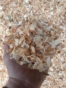 Compre virutas de madera, virutas de madera de pino - Product Image 3