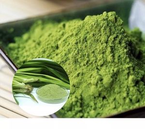 Poudre de feuille de pandan, saveur verte naturelle, haute qualité, prix bas, approvisionnement en vrac en provenance du Vietnam - Product Image 3