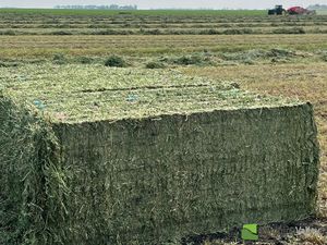 อาหารโปรตีนสูงสำหรับสัตว์และปลาหญ้าชนิตสำหรับสัตว์เลี้ยงที่บรรจุในลูกวัวหมู - Product Image 4