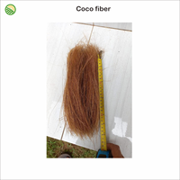Tapete de Fibra de Coco Natural Marrón, Cerdas de Coco de Alta Calidad Premium, 12-13 cm, Embalaje Personalizado, Uso Agrícola, Indonesia
