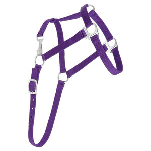 Haute qualité économie Nylon cheval licou réglable nez couronne entraînement quotidien manipulation ajustement boucles en métal plusieurs tailles disponibles - Product Image 3