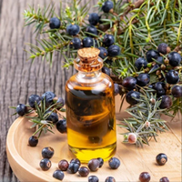 Huile Essentielle Pure à 100% de Haute Qualité, 30ml, Bio, aux Baies de Genévrier et Arbre à Thé, Extrait en Vrac du Népal, Hydratation de la Peau, Anti-Poches