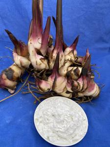 Meilleure farine d'arrowroot vietnamienne naturelle séchée, sans gluten, naturelle, de haute qualité, idéale pour la pâtisserie, la cuisine asiatique - Product Image 2