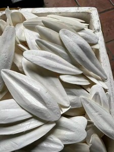 Seiche entière nettoyée congelée exportation importée fournisseur en gros vietnamien nettoyée entière à prix compétitif produits de la mer frais nouveau - Product Image 2