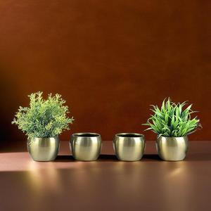 Tropicana หม้อเหล็กขนาดเล็กออกแบบโดยช่างทองเหลืองสไตล์ปาร์ตี้ที่เหมาะสมพืชไม่รวม - Product Image 1