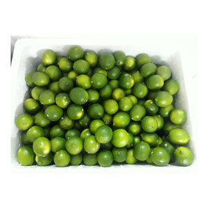 ส่งออกจากเวียดนามมะนาวสด-มะนาวเขียวฉ่ำไร้เมล็ดสำหรับทำอาหารใช้ในเครื่องดื่ม - Product Image 3