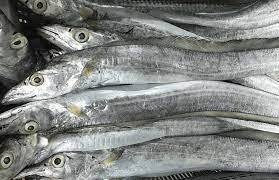 Poisson ruban congelé de haute qualité en gros |   Poisson ruban congelé en mer IQF pour l'exportation - Product Image 5