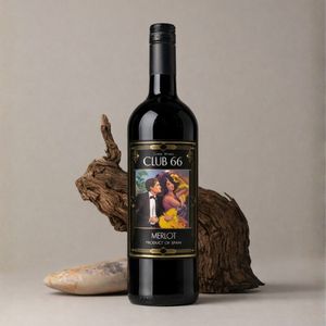 Vino Rosso Merlot Club 66, 100% Merlot, 13,5% ABV, Vino Rosso Spagnolo 750ml - Product Image 3