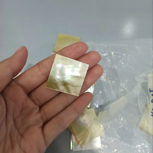 Nacre de coquille de nacre naturelle du Vietnam, soigneusement sélectionnée, pour l'art décoratif et l'exportation - Product Image 1