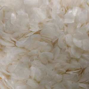 HOT VIETNAM EXPORTE DES ÉCHELLES DE POISSON AVEC DE GRANDES QUANTITÉS À UN PRIX BON MARCHÉ - Product Image 4