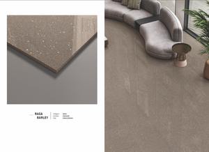 Porcelana moderna de cuerpo completo India nueva colección 60x60cm 60x120cm tamaños pulido acabado mate espesores 9mm 12MM 16mm 20mm - Product Image 3