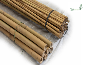 Wholesale Sustainable Strong <b>Bamboo</b> Pole Natural for Construction <b>Bamboo</b> Fence for Using at Agriculture, Construction - Product Image 6
