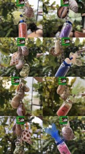 Ocean Charms Accessories Jewelry Gift <b>Souvenir</b>: Hot Selling Unique Mother of Pearl Sea Shell Keychain Keyring From Natutal Beach - Product Image 3