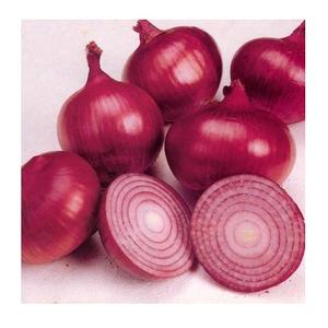 ขายหัวหอมแดง/หัวหอมเหลือง/หัวหอมขาว ราคาถูกที่สุด - Product Image 3