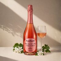 Vin mousseux rosé semi-doux Palacio de Anglona Airen & Tempranillo 9,5% ABV Vin mousseux rosé espagnol 750ml