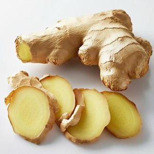 VENTA SUPERIOR JENGIBRE SECO A GRANEL SUMINISTRO AL POR MAYOR CALIDAD PREMIUM PRODUCTO DE EXPORTACIÓN DE ESPECIAS NATURALES OFERTA CALIENTE MEJOR PROMOCIÓN - Product Image 6