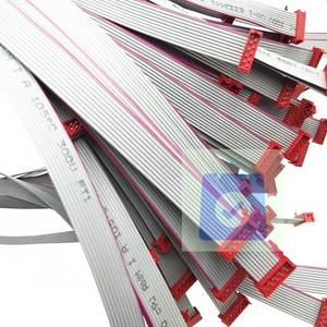 Cable Plano Adaptador SMT de Doble Fila de 10 Pines y Paso de 2.54mm, Suministro Directo de Fábrica OEM, para Computadora, Color y Longitud Personalizables, IP44 - Product Image 2