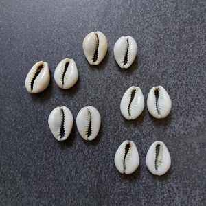 Coquillages de cauris d'Afrique authentiques, coupés au centre, Cypraea Annulus, assortis |   Coquillages de cauris, coquillages marins naturels, artisanat écologique MS - Product Image 1