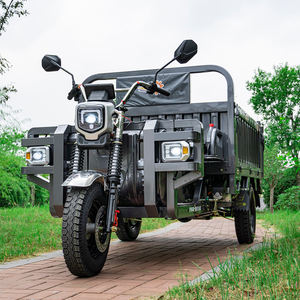 Triciclos Eléctricos de 60 Voltios y 45 Amperios, Nuevos, Listos para Enviar, con Carrocería Abierta, Motocicletas de Carga de Tres Ruedas para Adultos - Product Image 4